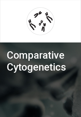 Comparative Cytogenetics cover