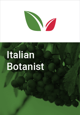 Italian Botanist cover