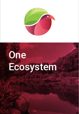 One Ecosystem cover